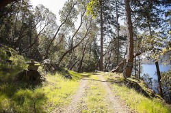206 Narrows West Road Salt Spring Island, BC V8K 0A3