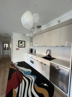 211-168 Powell Street Vancouver, BC V6A 0B2