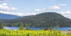 474 Fairway Drive  North Vancouver, BC V7G 1L5