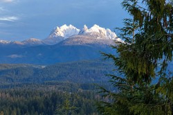 10240 Rolley Crescent Maple Ridge, BC V2W 1J9