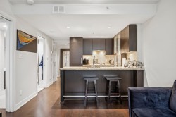 301-1055 Richards Street  Vancouver, BC V6B 0C2