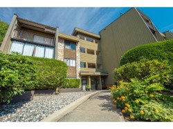 225-9101 Horne Street Burnaby, BC V3N 4M3