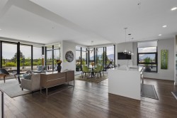 601-4427 Cambie Street  Vancouver, BC V5Z 2Y8