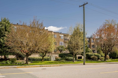 32-11900 228 Street, Maple Ridge, BC 