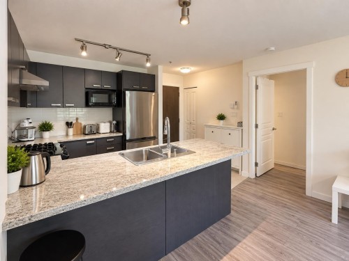 218-9399 Tomicki Avenue, Richmond, BC 