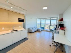 1704-652 Whiting Way Coquitlam, BC V3J 0K3