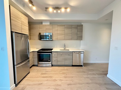 203-200 Nelson'S Crescent, New Westminster, BC 