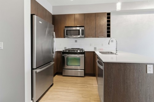 302-1188 Johnson Street, Coquitlam, BC 