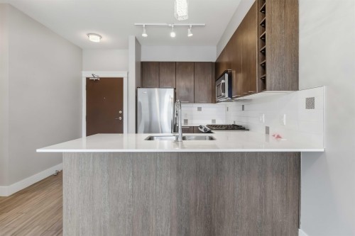 302-1188 Johnson Street, Coquitlam, BC 