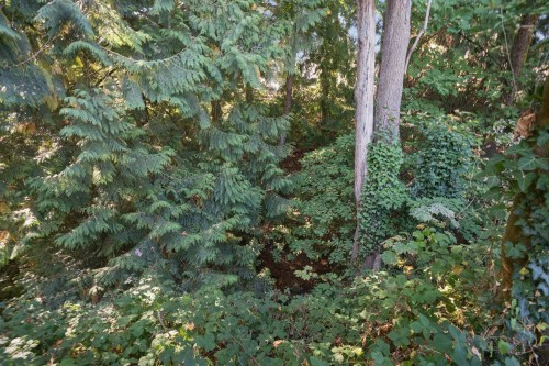 7707 Mcgregor Avenue, Burnaby, BC 