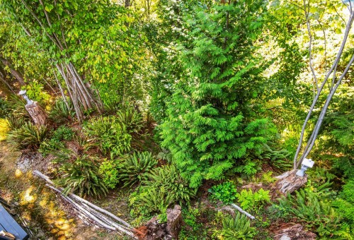 3476 Wilkie Avenue, Coquitlam, BC 