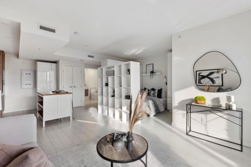508-285 10Th Avenue E, Vancouver, BC 