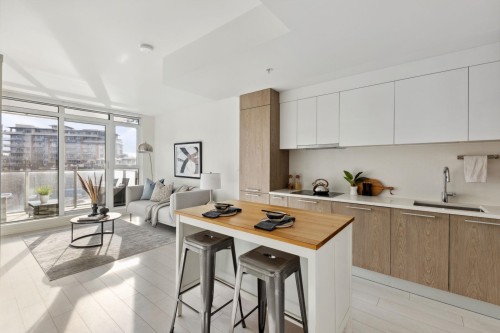 508-285 10Th Avenue E, Vancouver, BC 