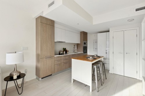 508-285 10Th Avenue E, Vancouver, BC 