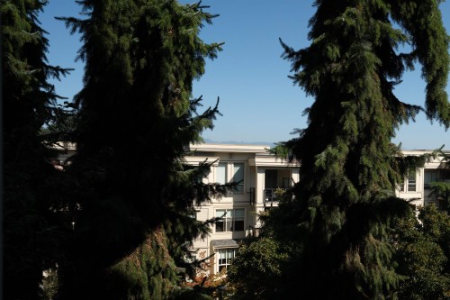 203-255 Ross Drive, New Westminster, BC 