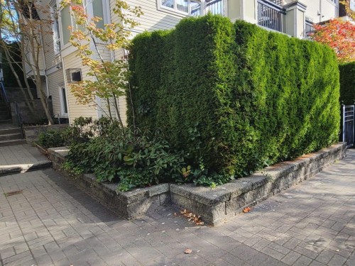 3238 54Th Avenue E, Vancouver, BC 