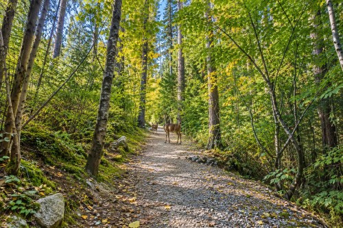 167 Fernway Drive, Port Moody, BC 