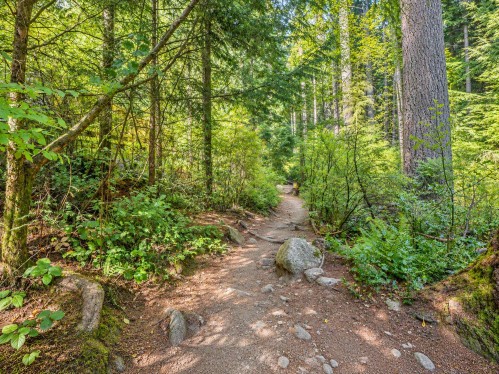 167 Fernway Drive, Port Moody, BC 