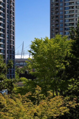 401-988 Richards Street, Vancouver, BC 