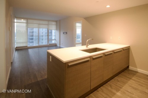 2409-4485 Skyline Drive , Burnaby, BC V5C 5Y1 4