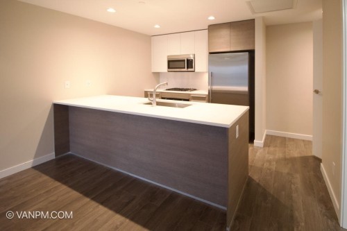 2409-4485 Skyline Drive , Burnaby, BC V5C 5Y1 5