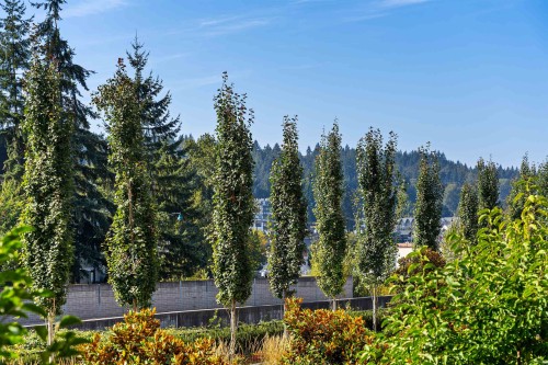 336-55 Klahanie Drive, Port Moody, BC 