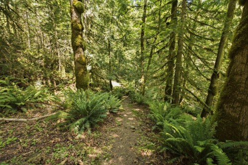 5280 Bear Bay Road, Garden Bay, BC 