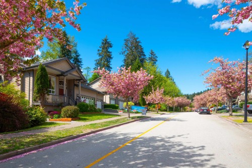 13257 239B Street, Maple Ridge, BC 
