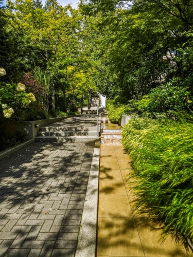 2990 Chesterfield Avenue, North Vancouver, BC 