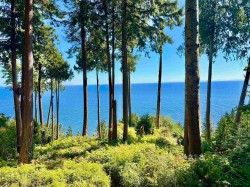 61/Lot3 Larson Road Gibsons, BC V0N 1V3