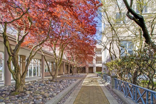 401-2628 Ash Street, Vancouver, BC 