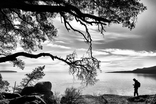 2-13651 Camp Burley Road, Garden Bay, BC 