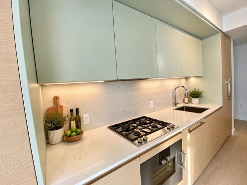 3101-1289 Hornby Street, Vancouver, BC 