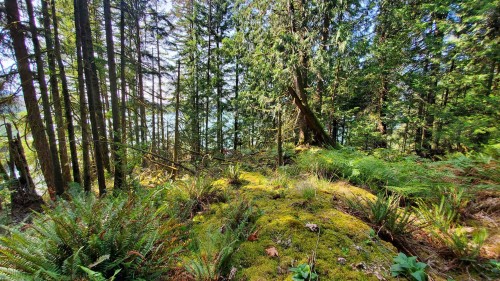 Block A Farrer Cove, Belcarra, BC 