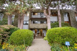303-1721 St. Georges Avenue North Vancouver, BC V7L 3J8