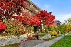 410-120 4th Street ENorth Vancouver, BC V7L 1H6