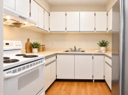 205-8231 Granville Avenue  Richmond, BC V6Y 3A4