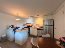 603-555 W 7th Avenue  Vancouver, BC V5Z 1B4