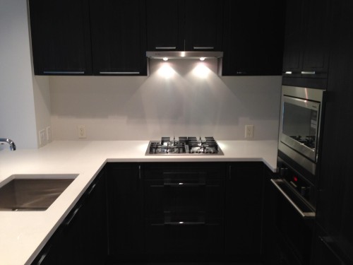 601-6677 Cambie Street , Vancouver, BC V6P 0E6 3
