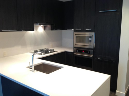 601-6677 Cambie Street , Vancouver, BC V6P 0E6 4