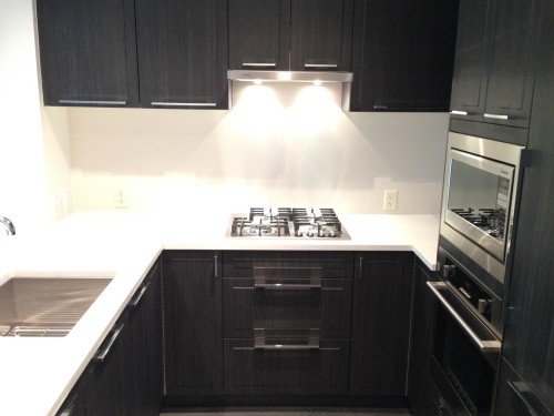 601-6677 Cambie Street , Vancouver, BC V6P 0E6 5