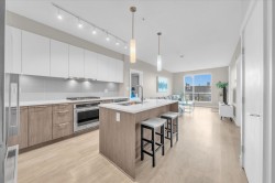 303-625 3rd Street ENorth Vancouver, BC V7L 0G3