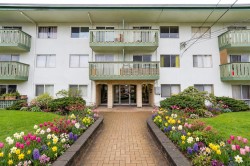 207-36 14th Avenue E Vancouver, BC V5T 4C9