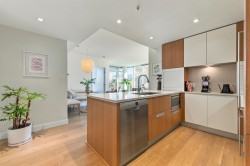 507-288 1st Avenue W Vancouver, BC V5Y 0E9