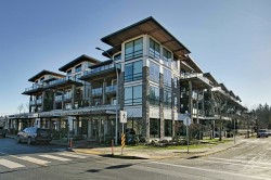 220-12460 191 Street Pitt Meadows, BC V3Y 2J2