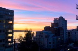 301-1330 Harwood Street  Vancouver, BC V6E 1S8