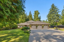 11-23100 129 Avenue Maple Ridge, BC V2X 0M5