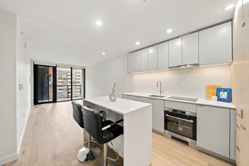 507-239 Keefer Street  Vancouver, BC V6A 1X6