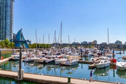 302-1228 Marinaside Crescent  Vancouver, BC V6Z 2W4