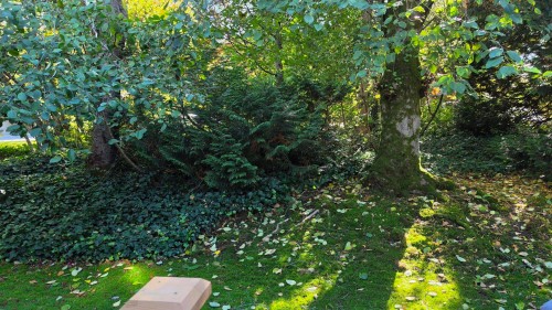 3444 Copeland Avenue, Vancouver, BC 